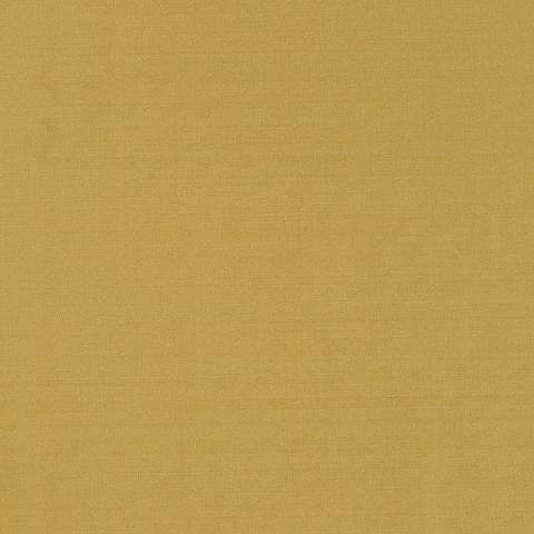 GIORDANO TAFFETA