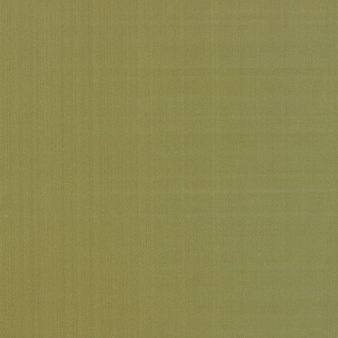 GIORDANO TAFFETA