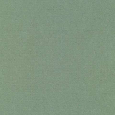 GIORDANO TAFFETA