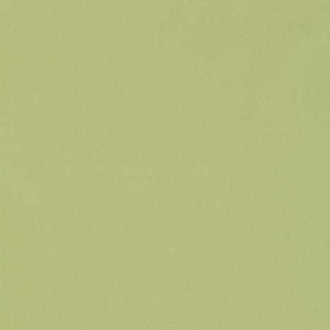 GIORDANO TAFFETA
