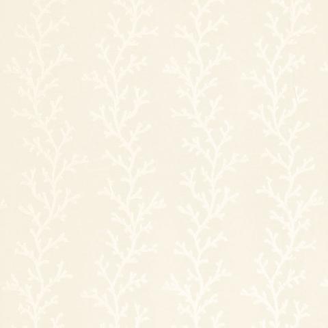 Coral Sheer