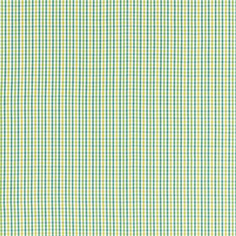 BAHAMA CHECK