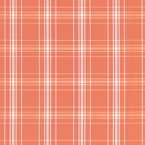 BELIZE PLAID