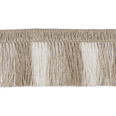 Palm Frond
