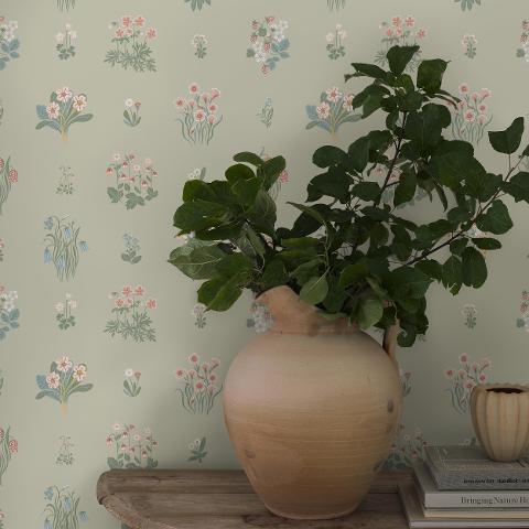 Ängsflora