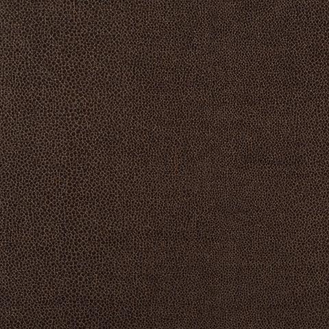 GLOSS SHAGREEN