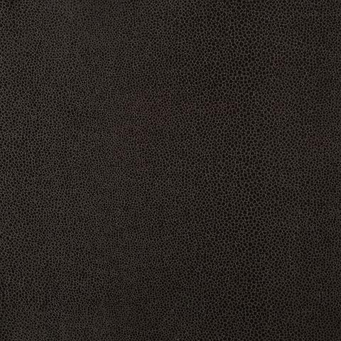 GLOSS SHAGREEN
