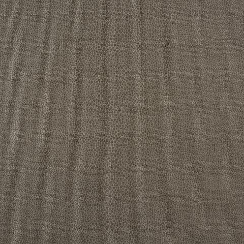 GLOSS SHAGREEN