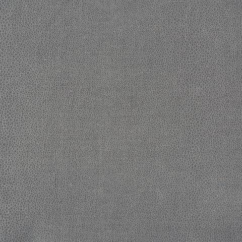 GLOSS SHAGREEN