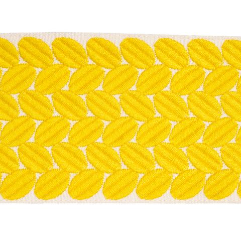 BERKELEY TAPE WIDE