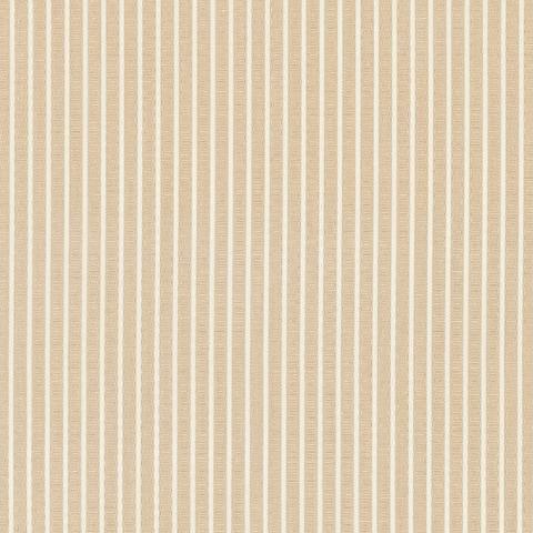 Edie Stripe