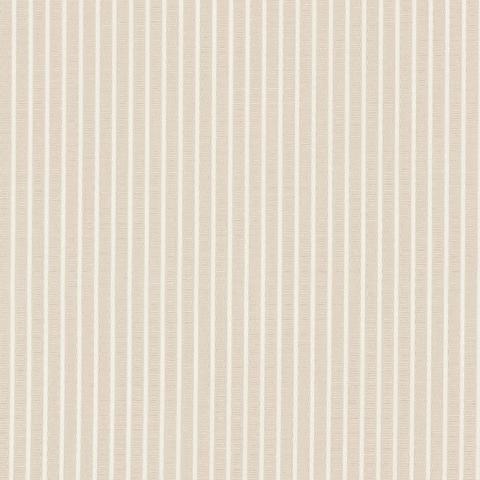 EDIE STRIPE