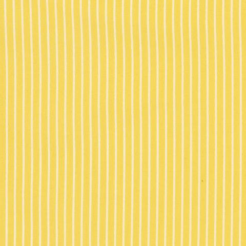 EDIE STRIPE