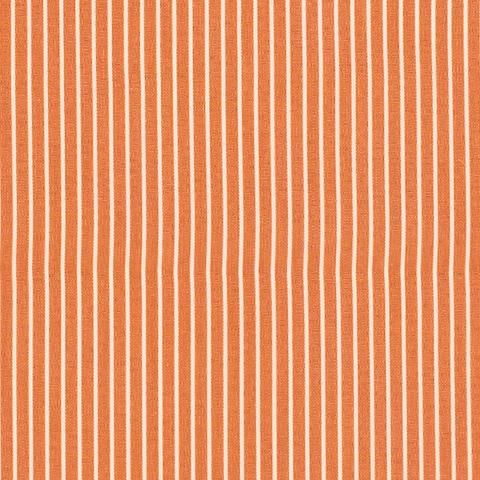EDIE STRIPE