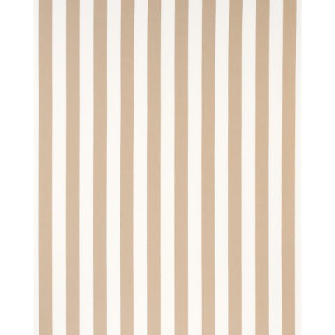 Andy Stripe