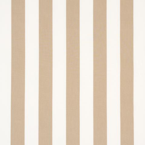 Andy Stripe