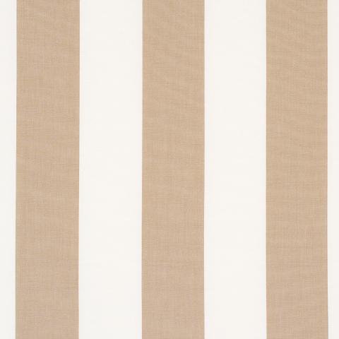 Andy Stripe
