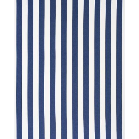 Andy Stripe
