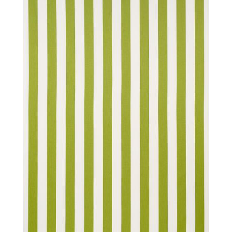 Andy Stripe