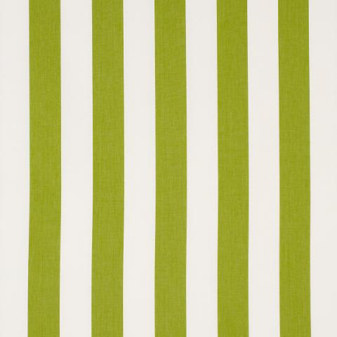Andy Stripe