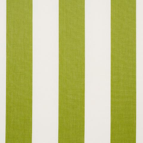 Andy Stripe