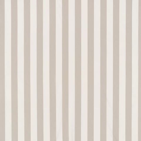 JAMES STRIPE
