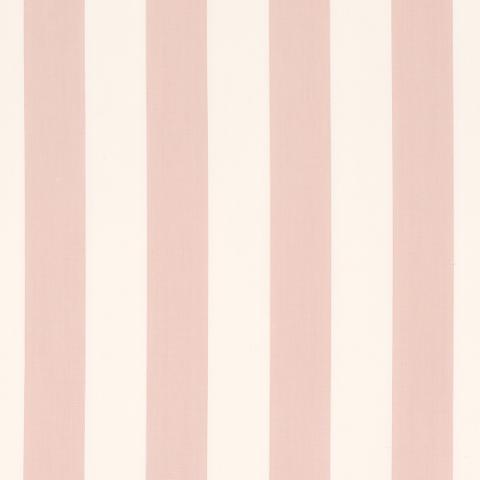 JAMES STRIPE