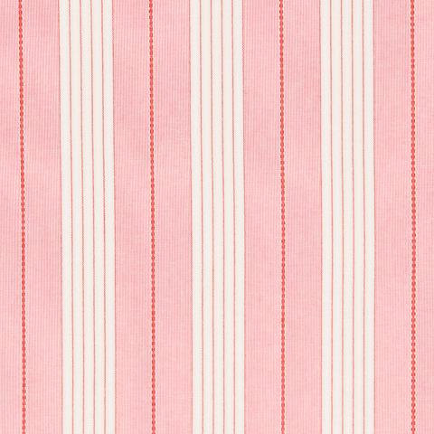 AUDREY STRIPE