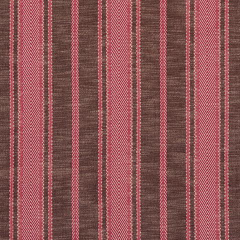 Zina Stripe