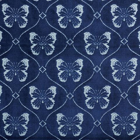 Papillon Velvet