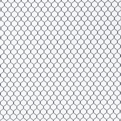 FISHNET
