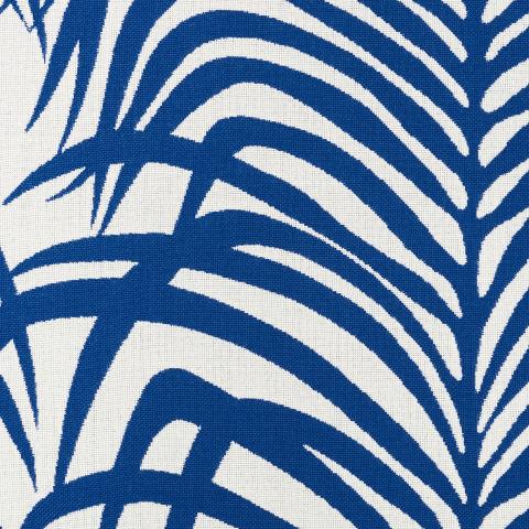 Zebra Palm Indoor/Outdoor