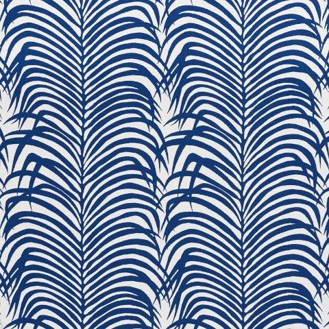 Zebra Palm Indoor/Outdoor