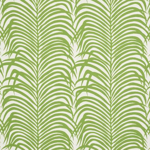 ZEBRA PALM INDOOR/OUTDOOR