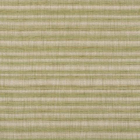 PETRA STRIPE