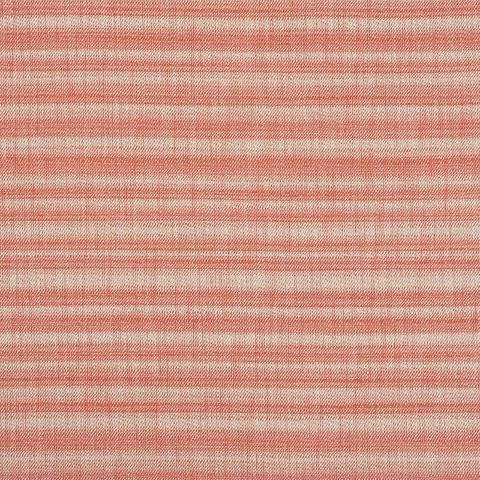 PETRA STRIPE