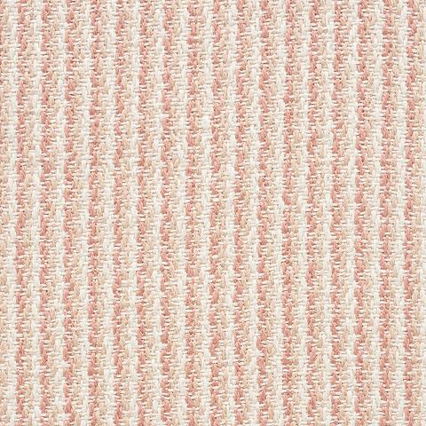 SHORELINE STRIPE
