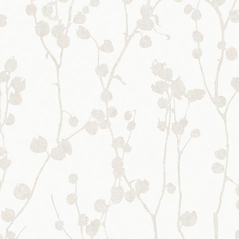 Disa