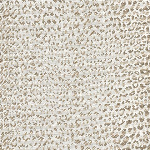 Mini Leopard Outdoor