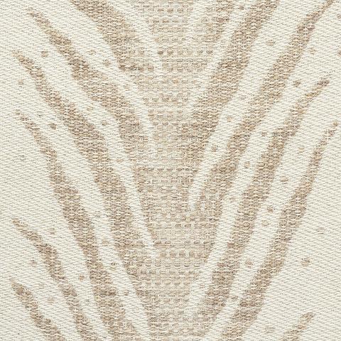 Creeping Fern