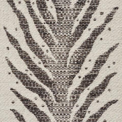 Creeping Fern