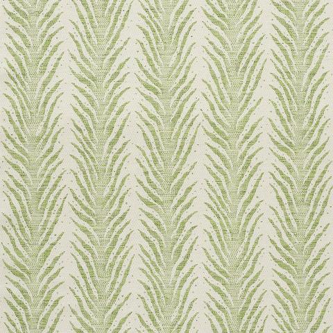 CREEPING FERN