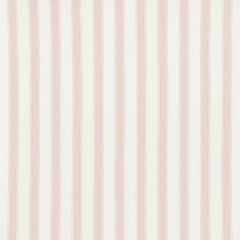 Rafe Stripe