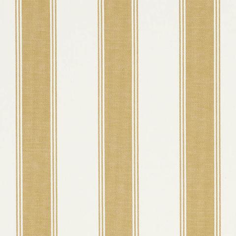 RAFE STRIPE