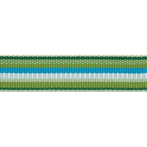 Primavera Tape Narrow