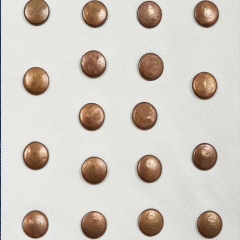 Studded Leather Trim