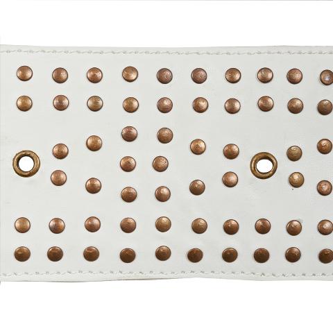 Studded Leather Trim