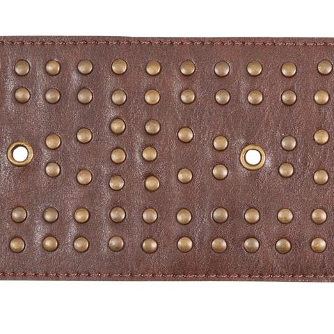 Studded Leather Trim