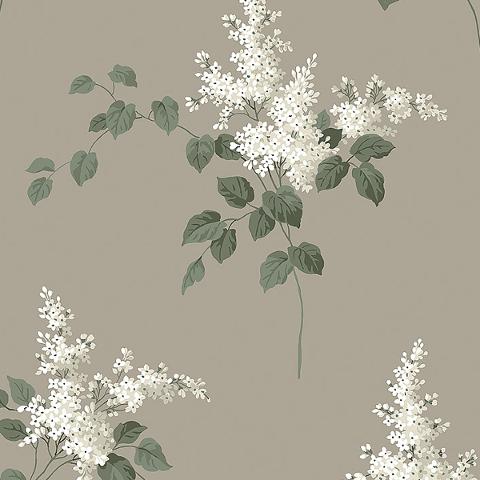 Lilacs