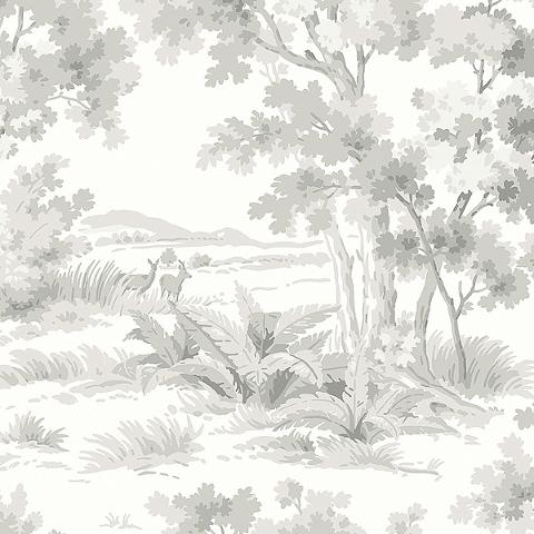 Countryside Morning